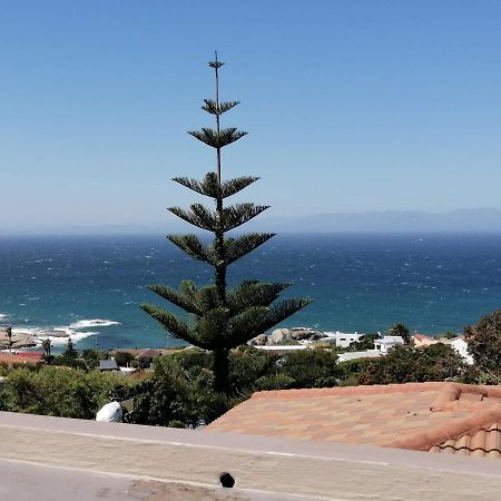 Froggy At The Pond Simonʼs Town Exterior foto