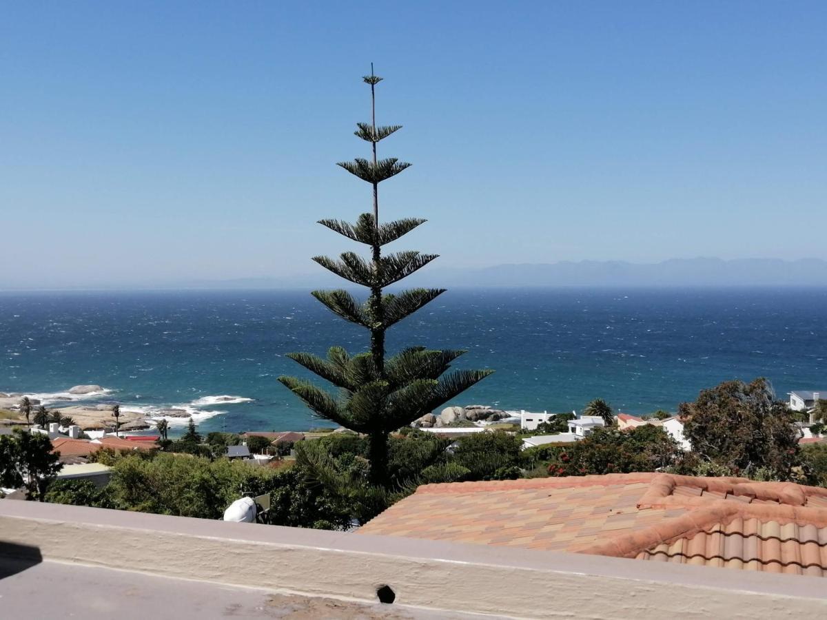 Froggy At The Pond Simonʼs Town Exterior foto